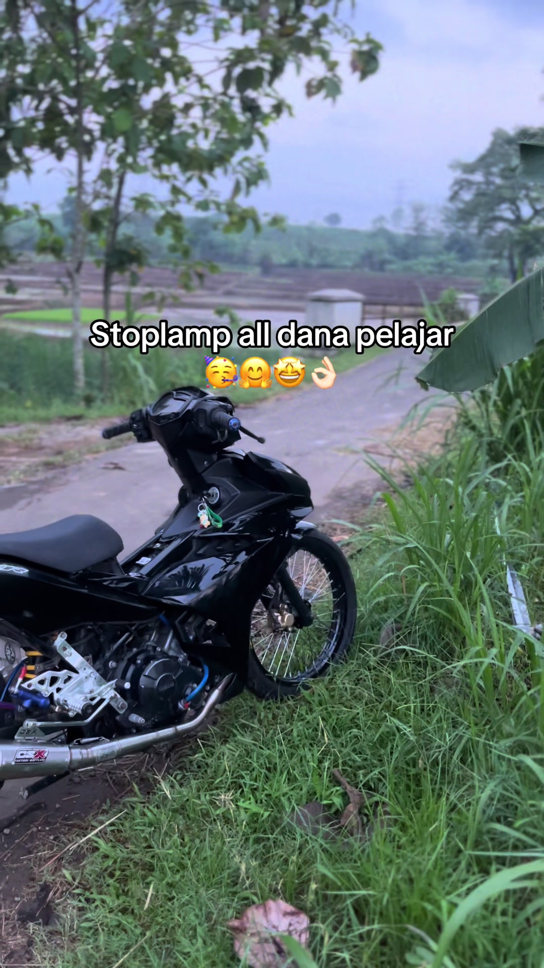 @Mierzn17_