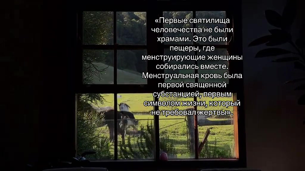 @Варякоз