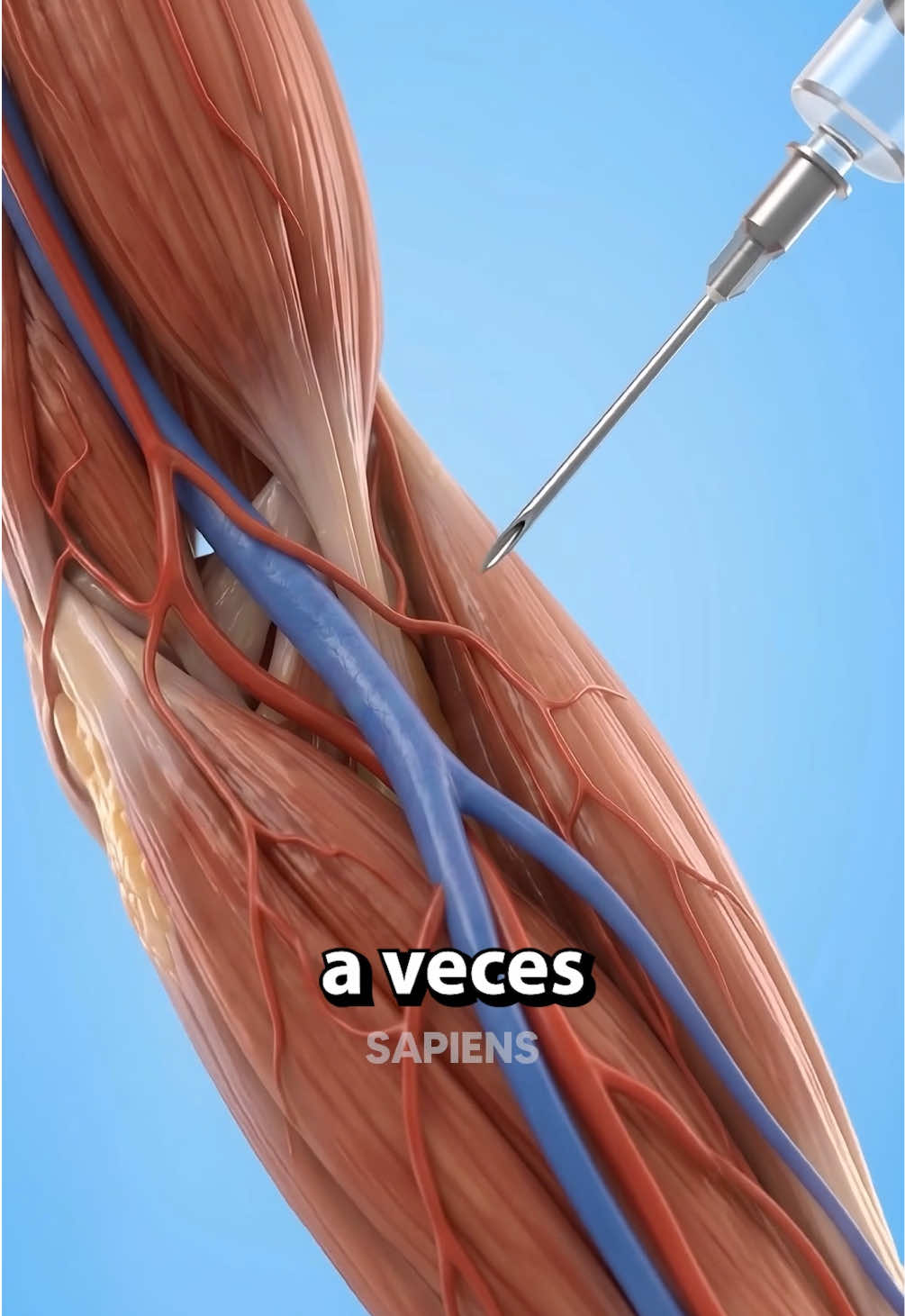 @homosapiens