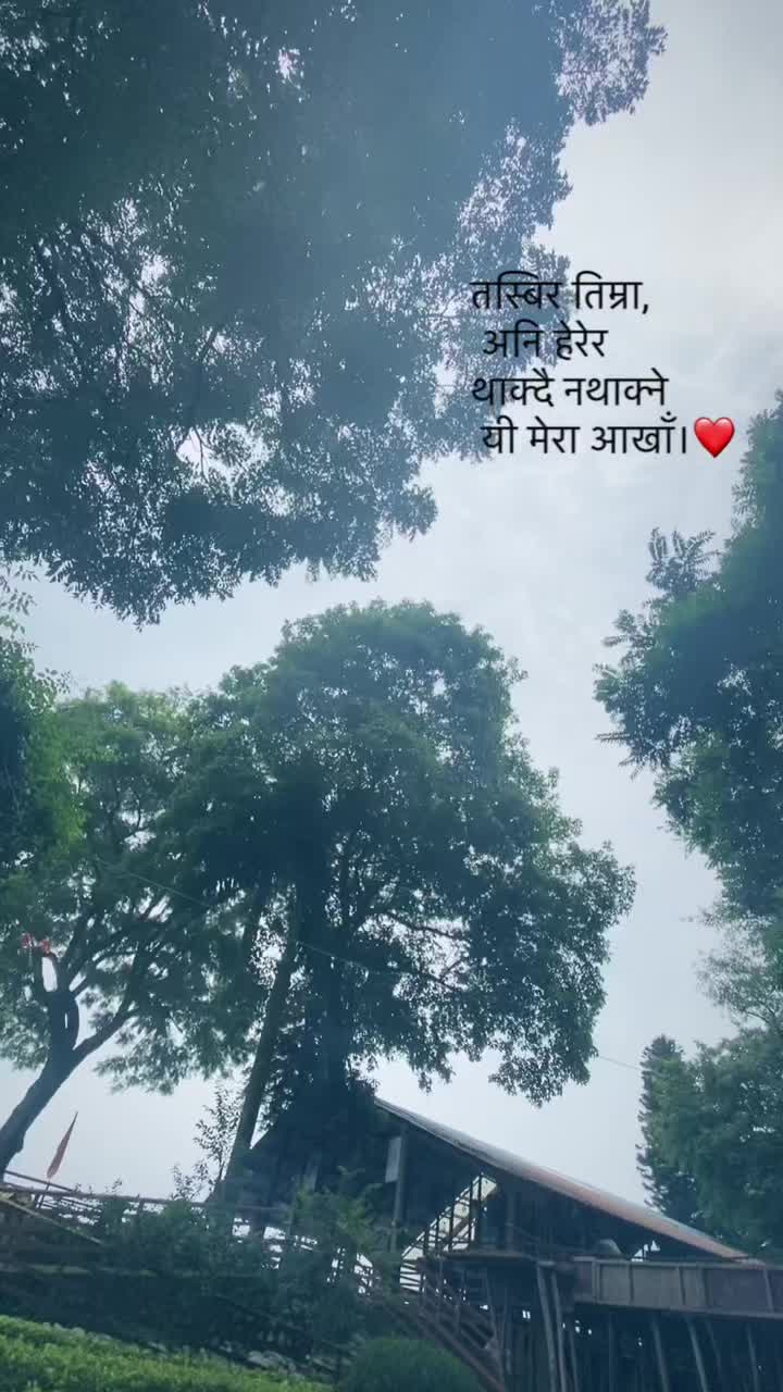 @M C(___)🍁