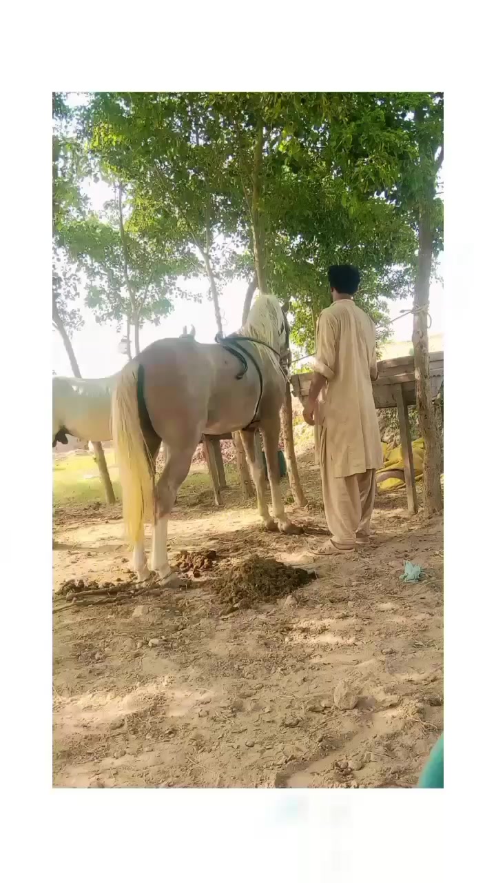 @Màlík Hàsñåt Jàïsåk❣️