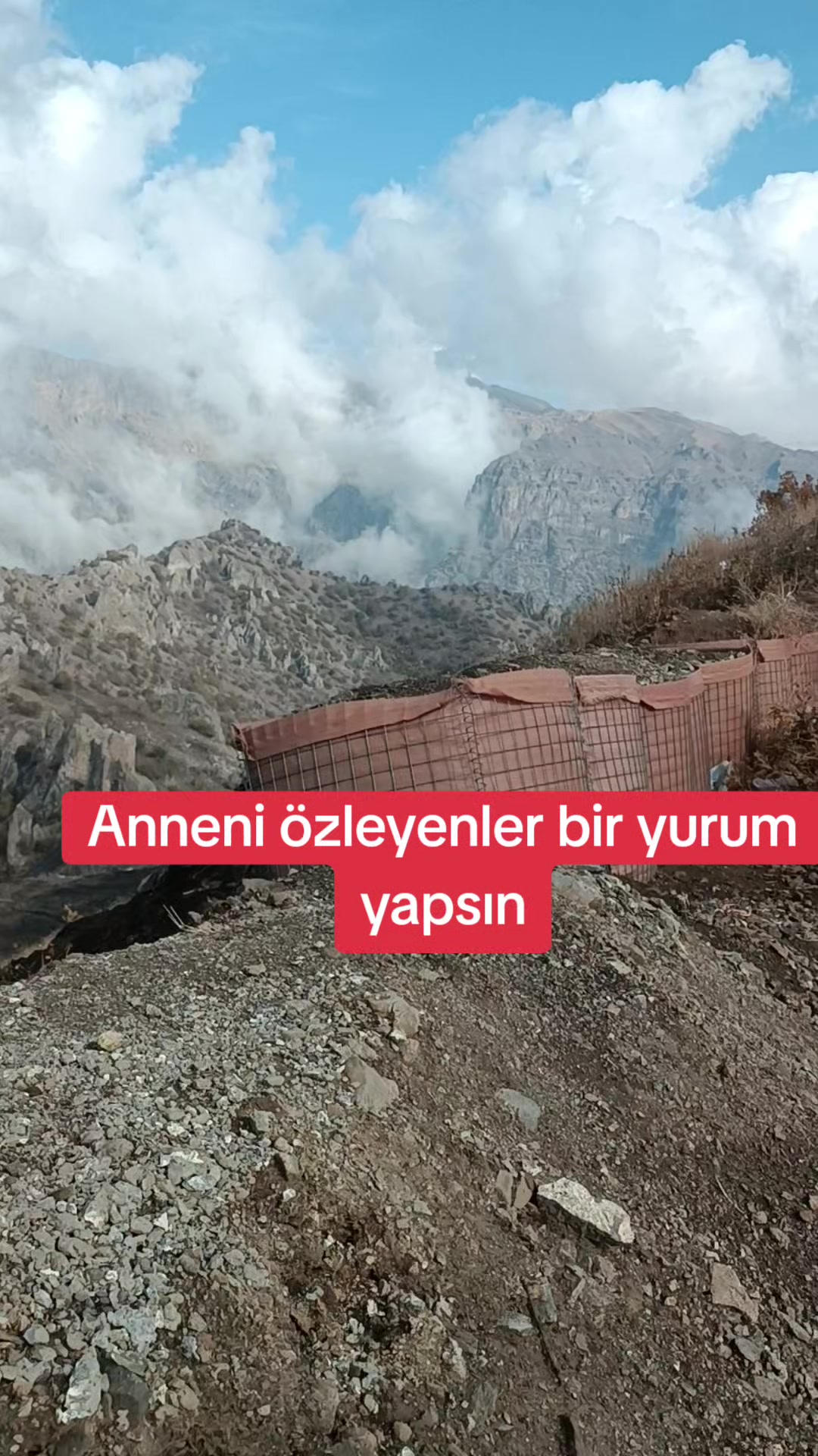 @Cesurburak73_34