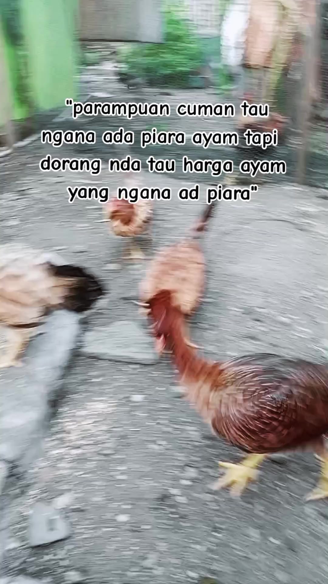 @Fandi lamatenggo