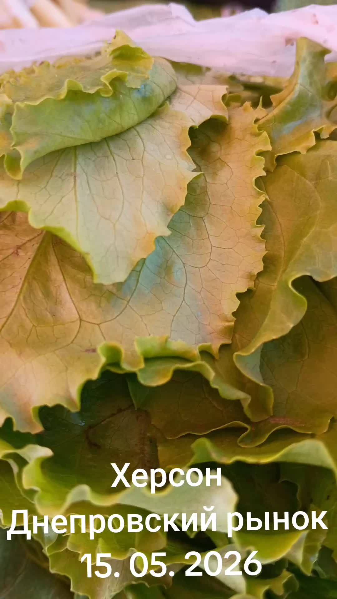@IOSIF99999