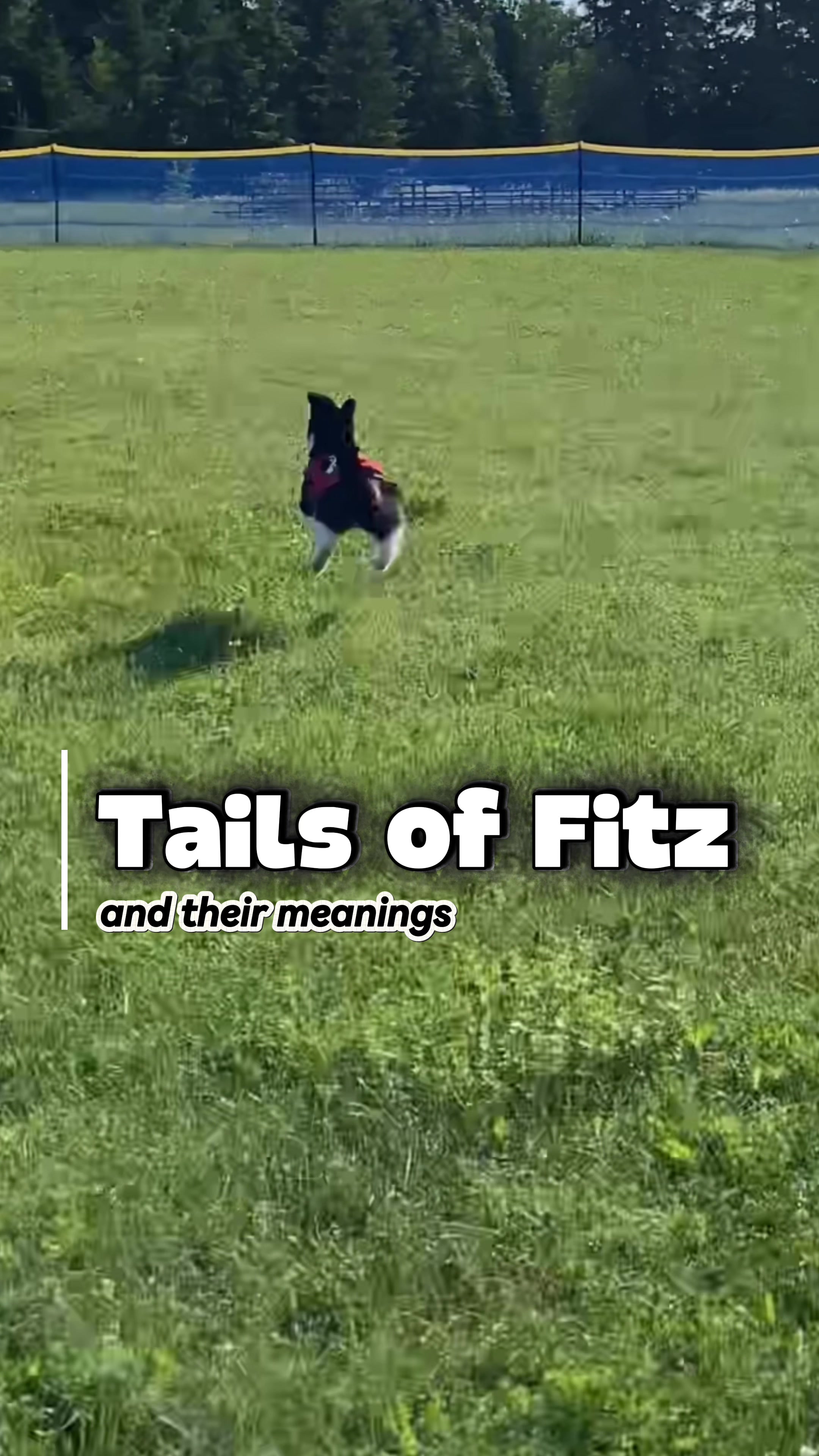 @Fitzcapades