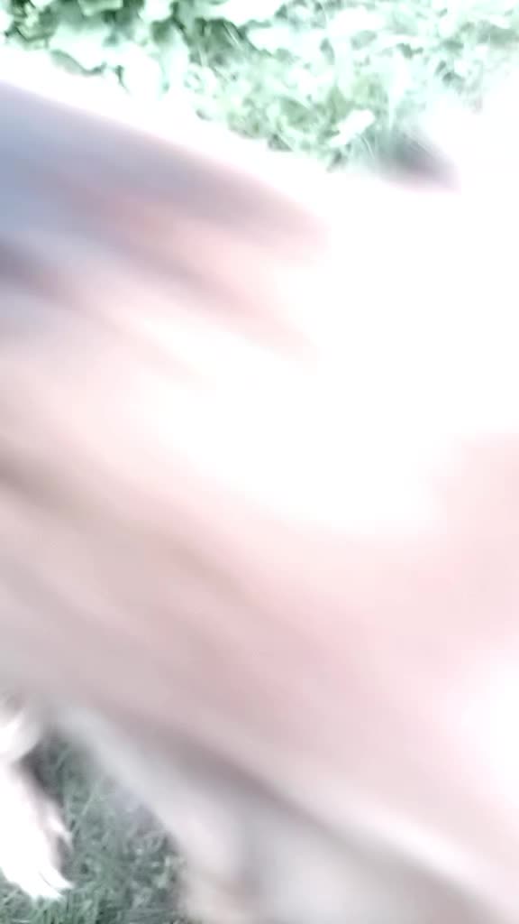 @пяточки