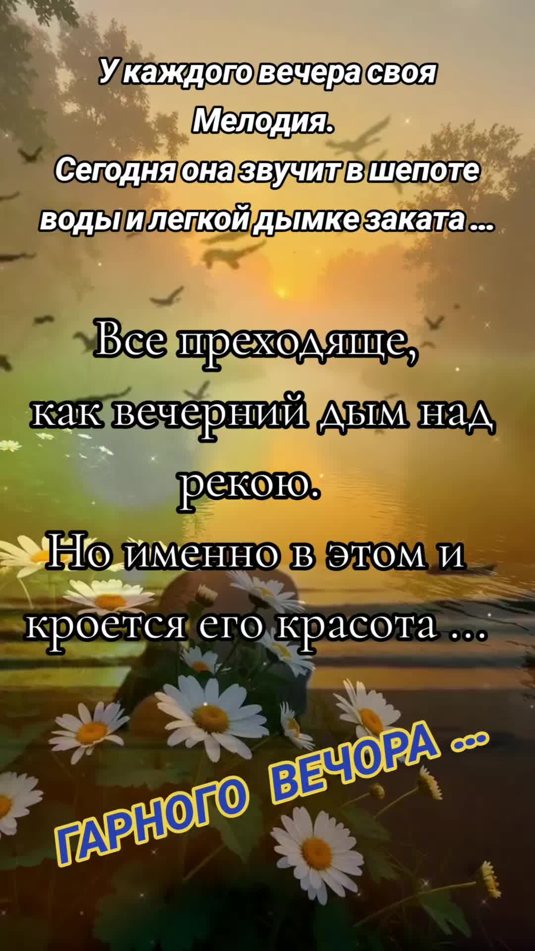 @꧁💞 𝙊𝙇𝙂𝘼 💫🎶꧂