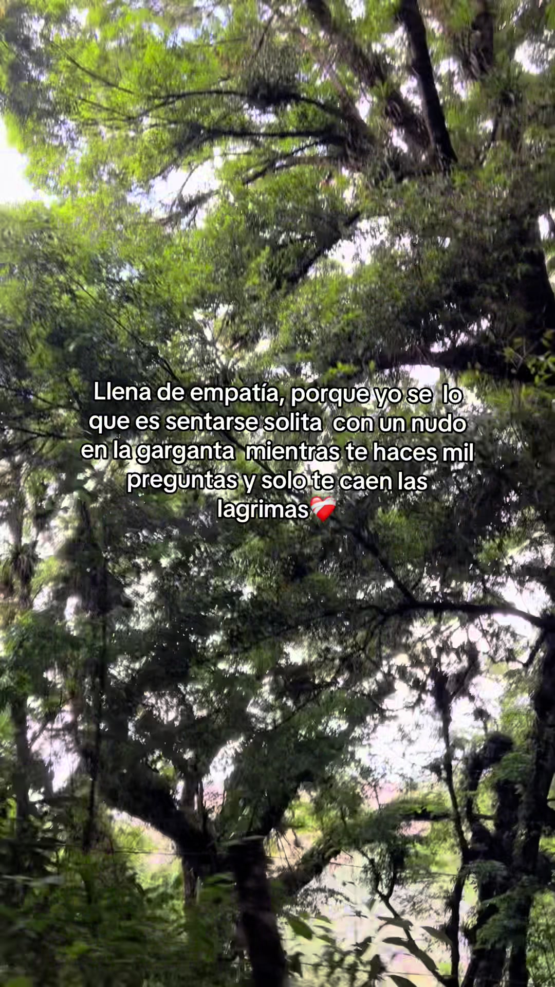 @De Leon