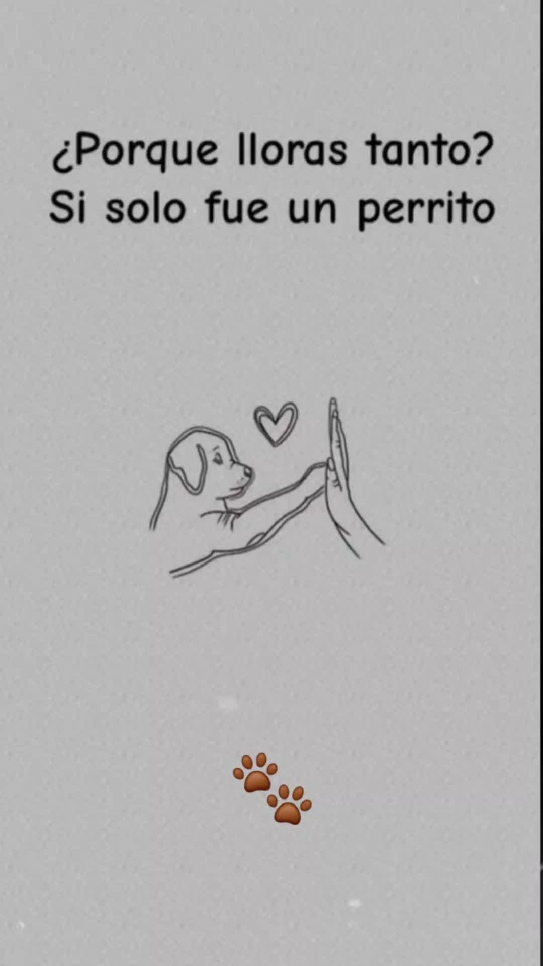 @Dalia 😉