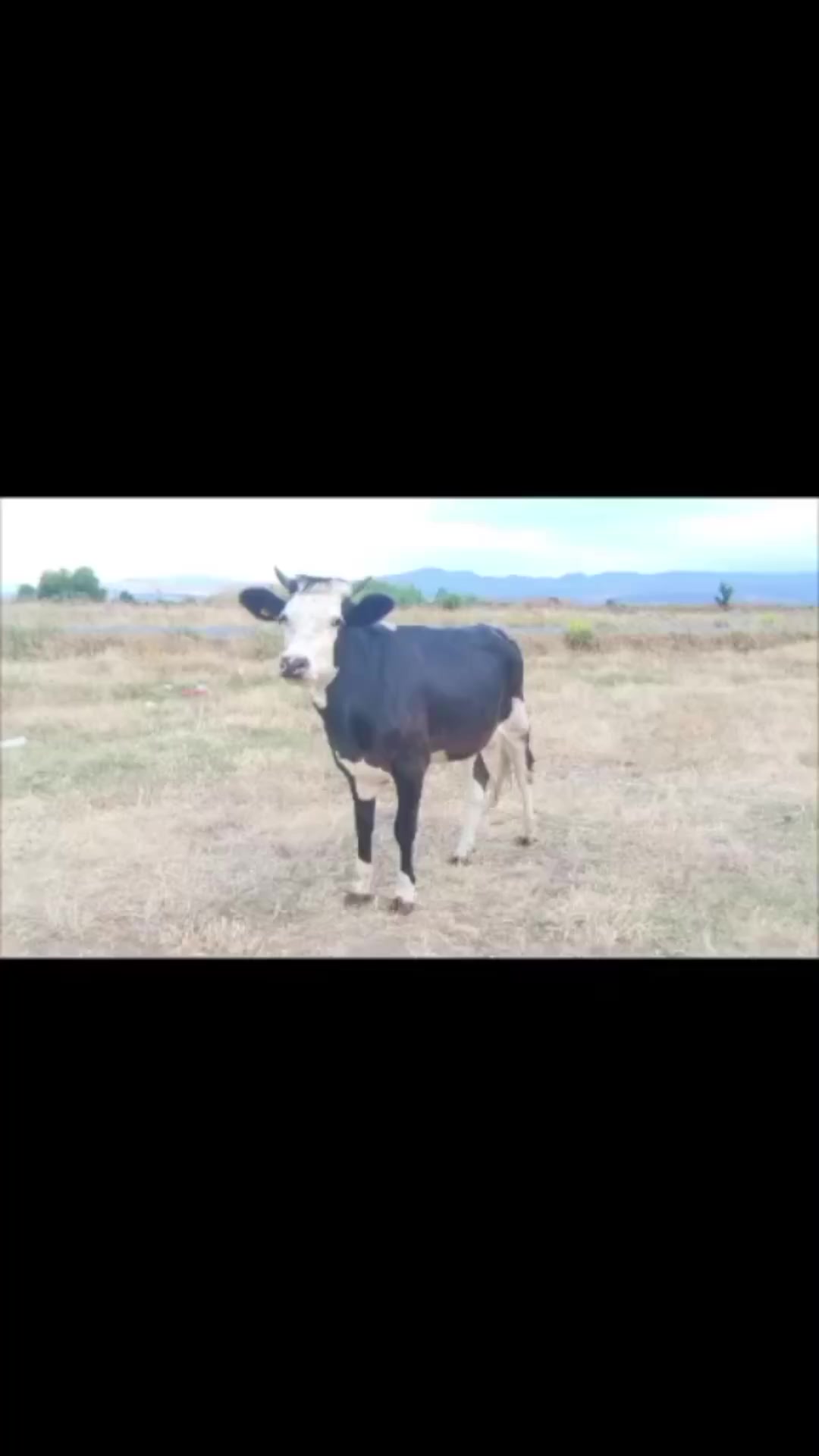 @Mustafa✔️Malçok✔️