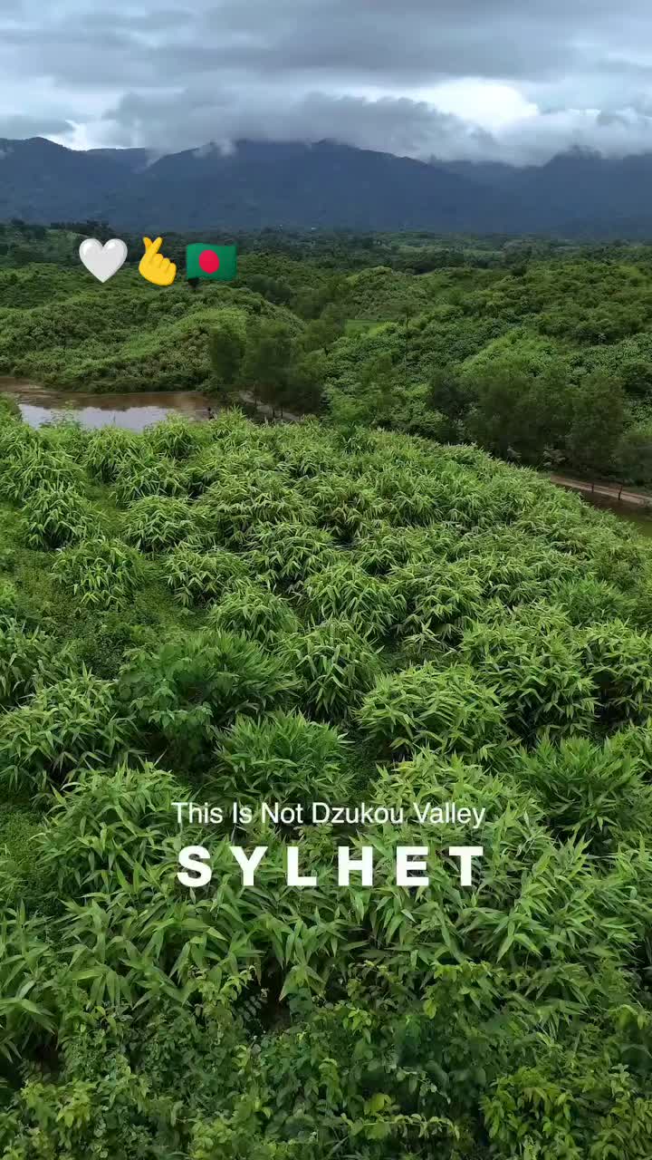 @মিঃ প্রবাসি 🍎