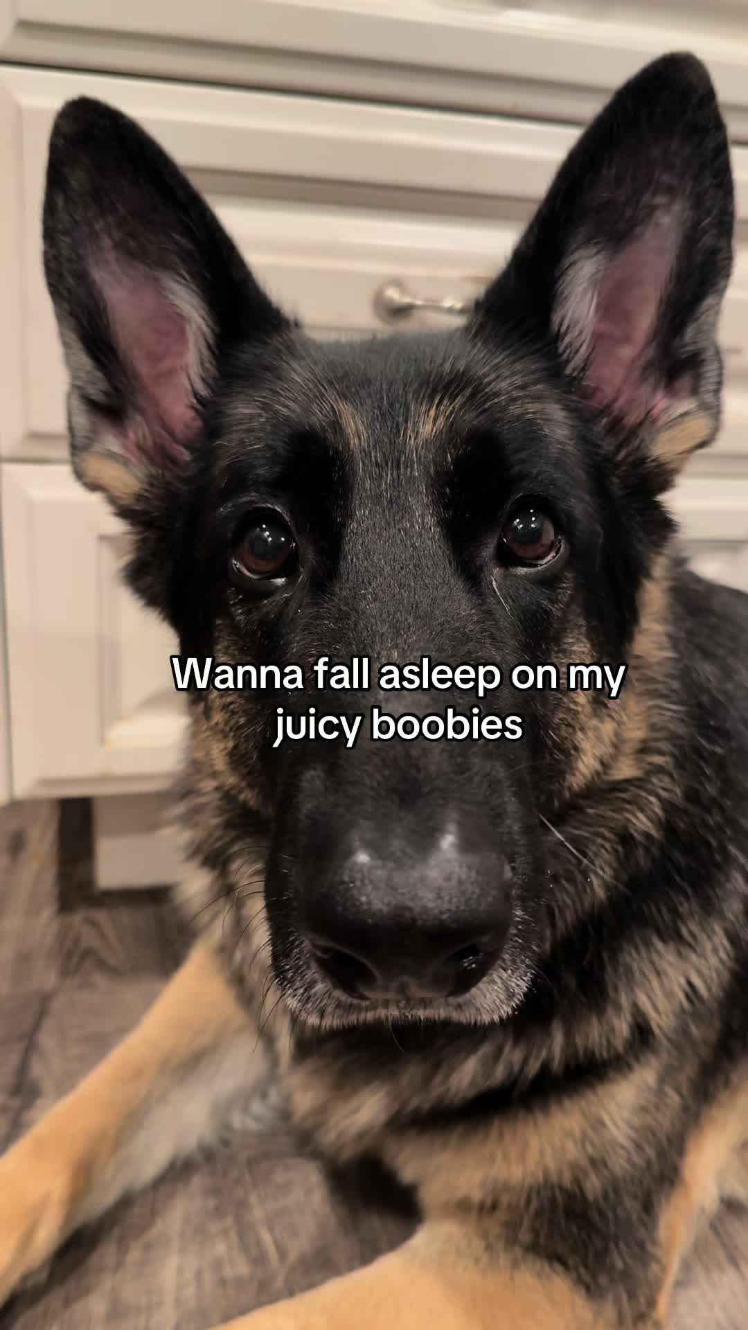 @Bhris
