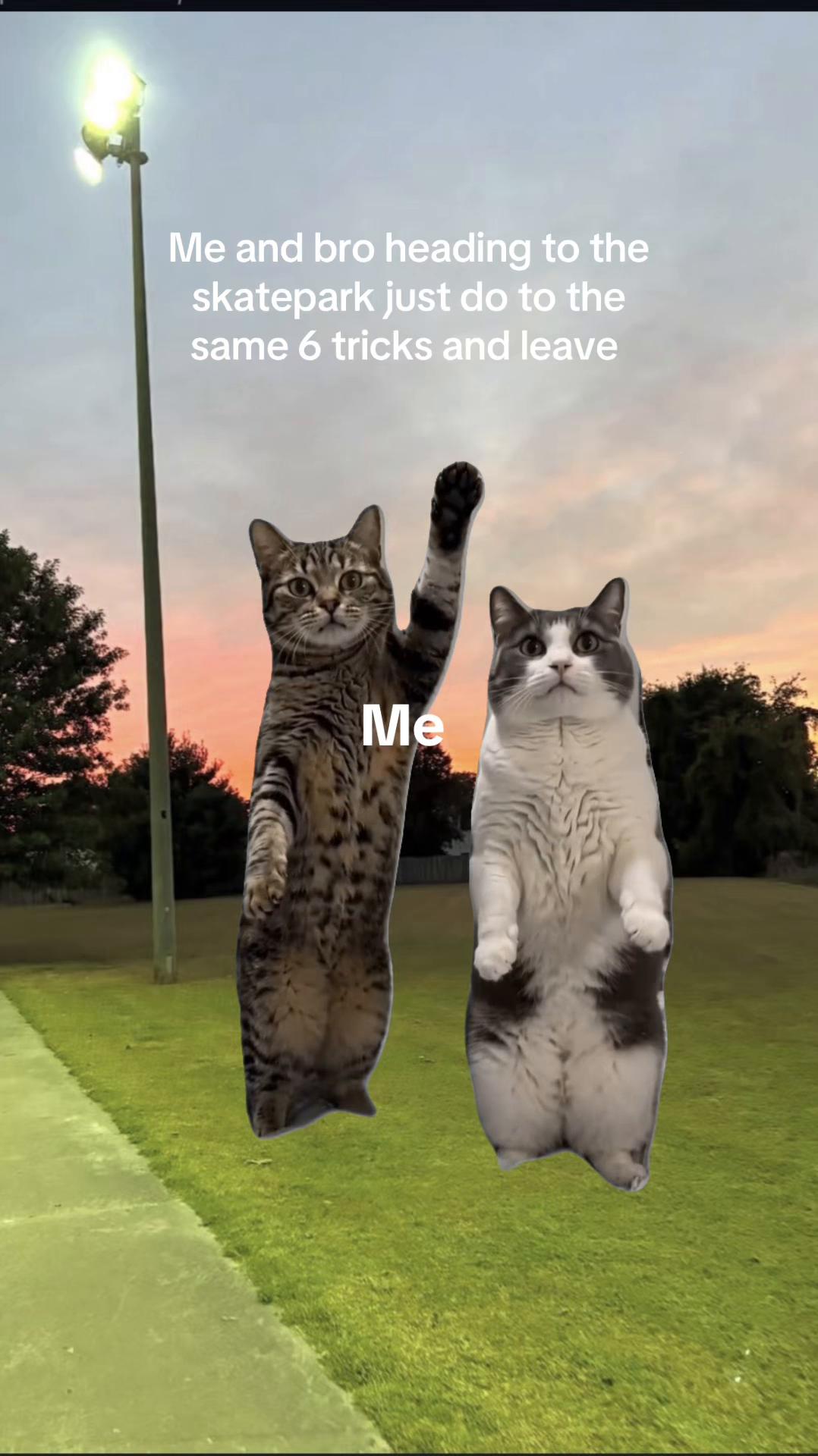 @Jon🥸