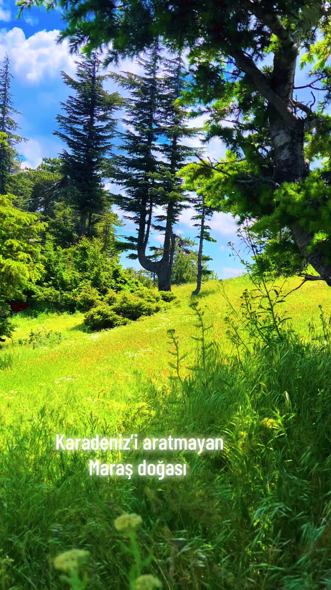 @İSOCAN
