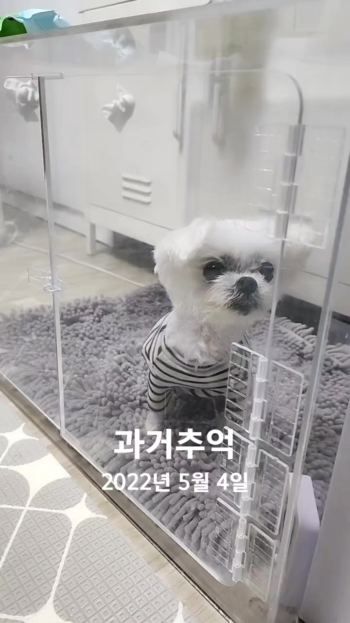 @초롱맘
