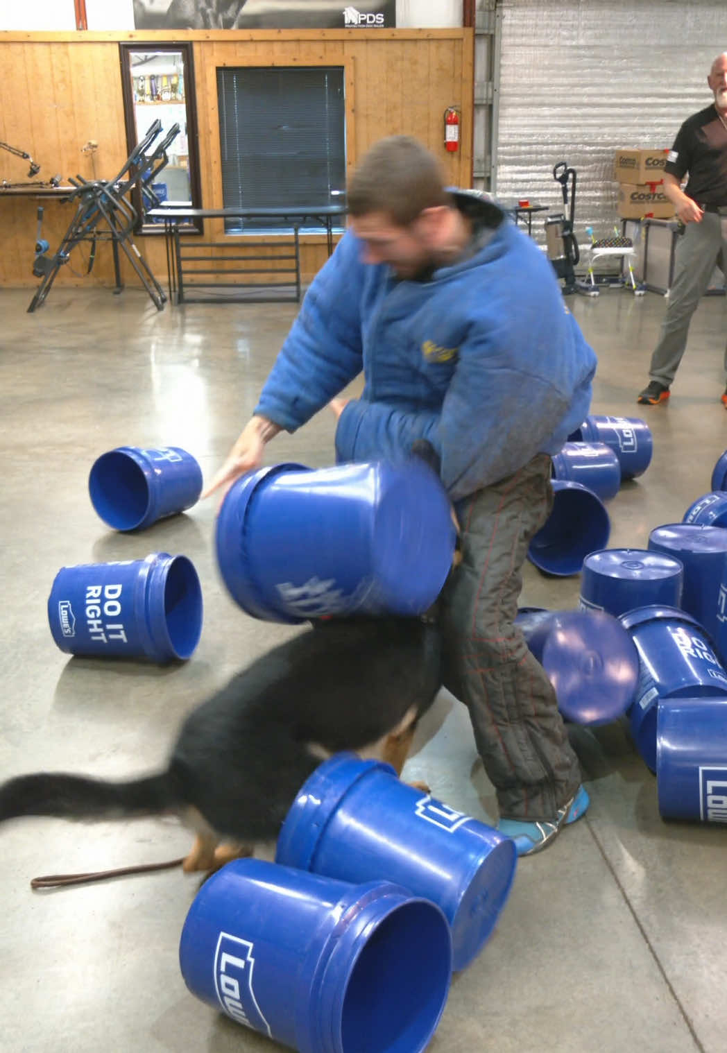 @Protection Dog Sales