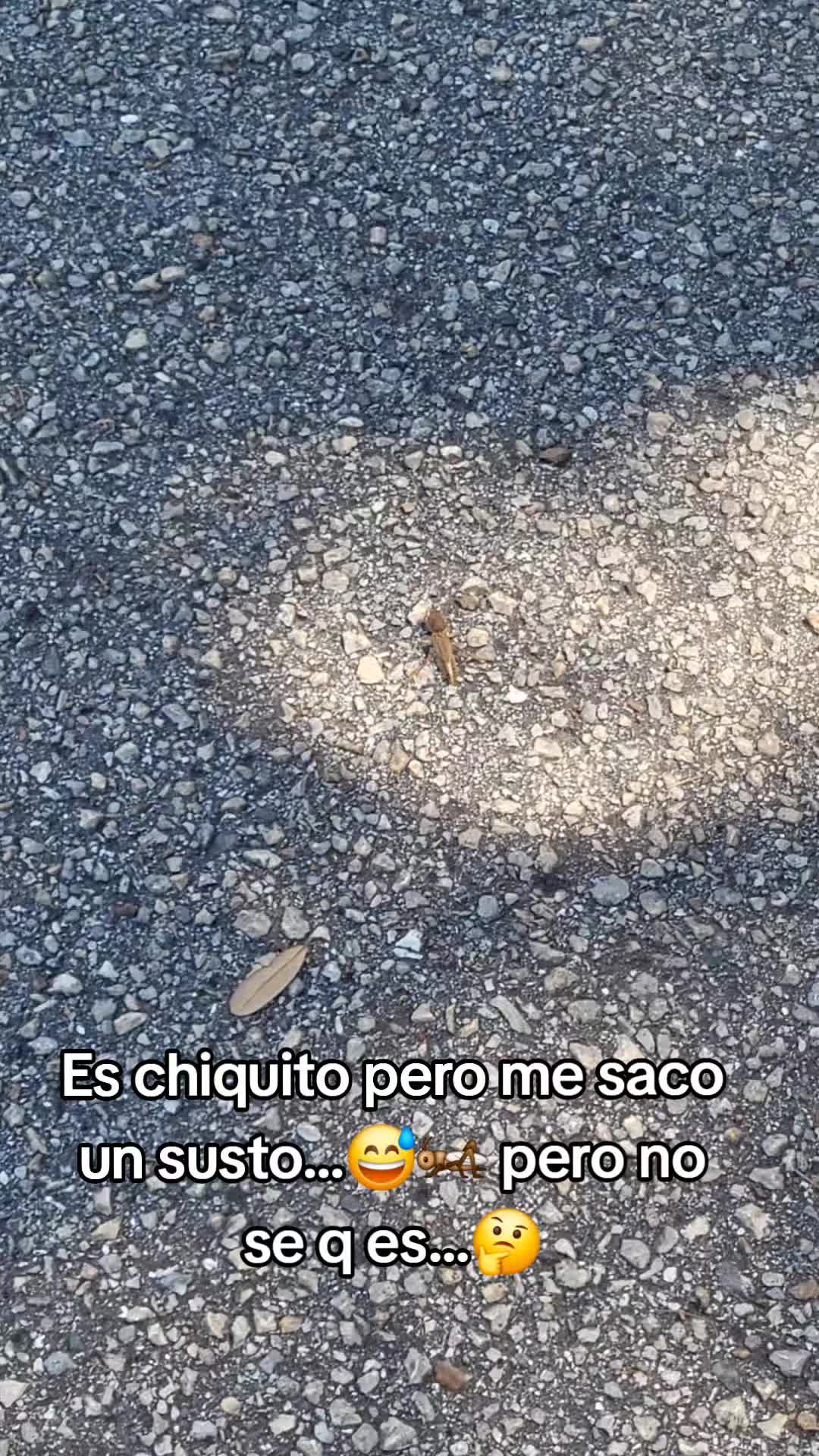 @Tany Narvaes