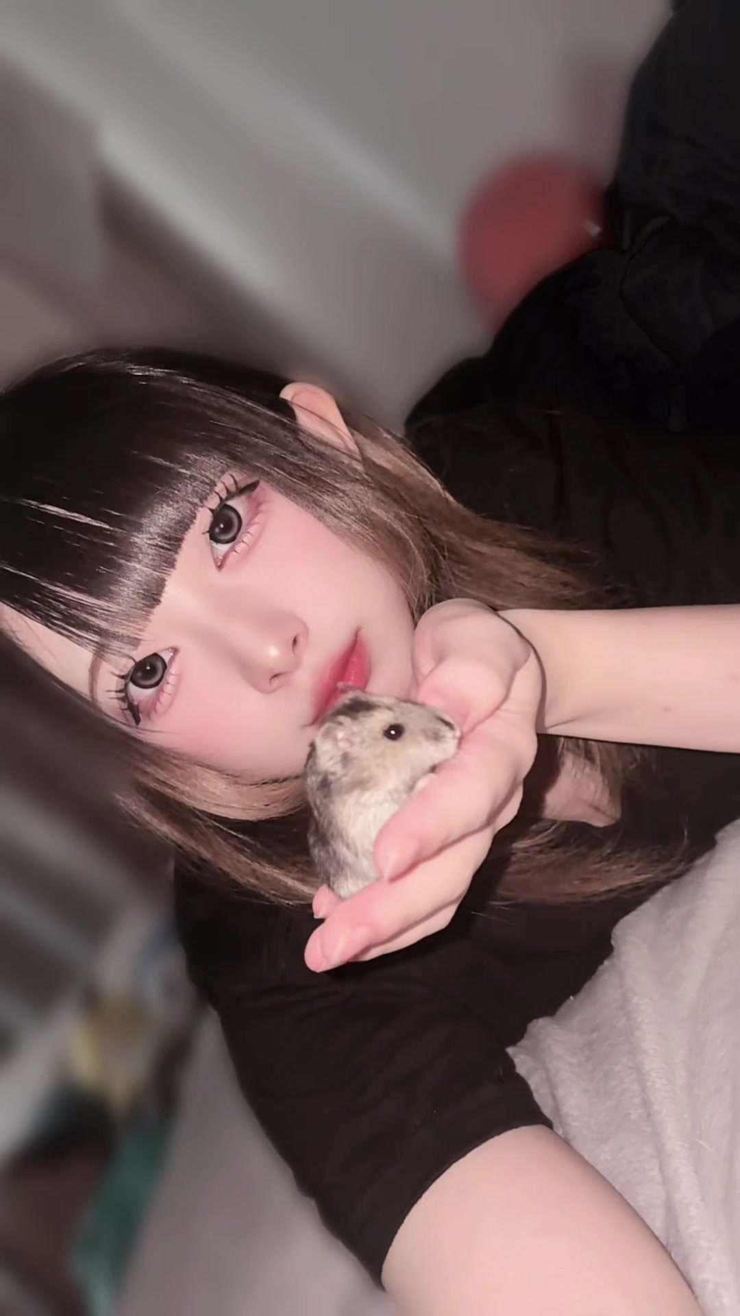 @ひよこチャン