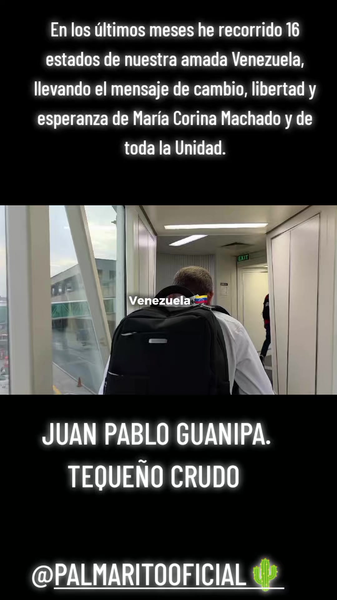 @PALMARITOOFICIAL 🌵