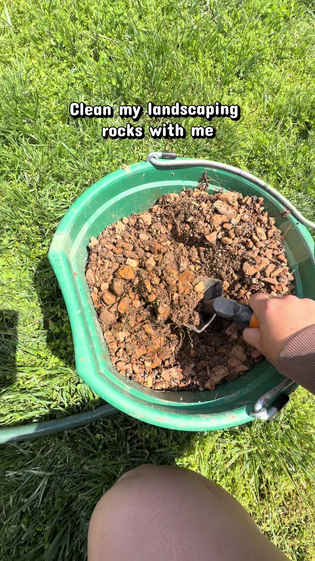 @Nicole Rose