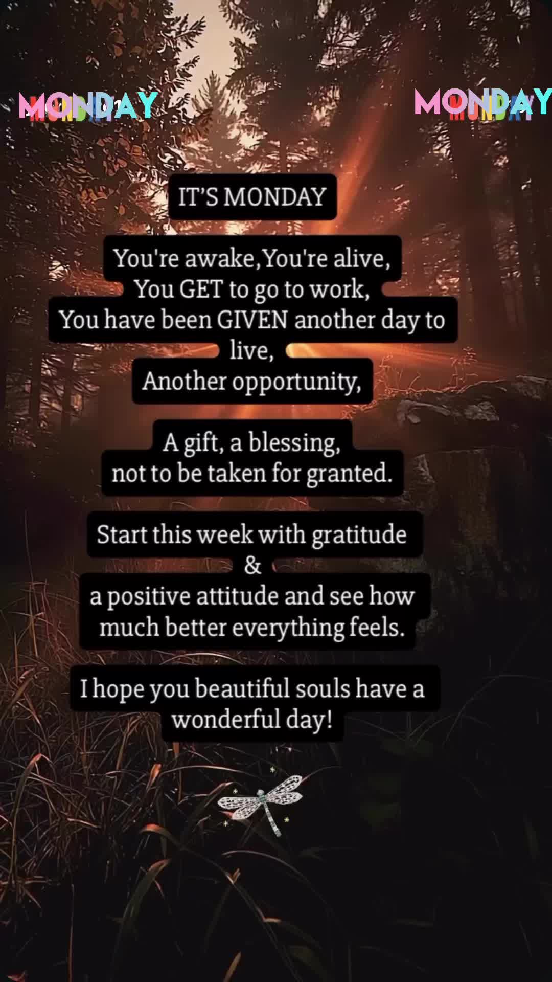 @❌-Yvonne-positive vibes