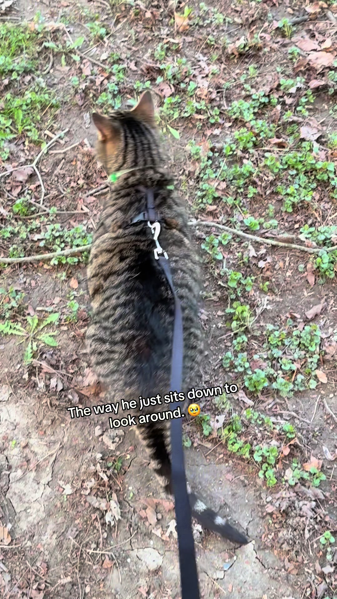 @MetalZohnny