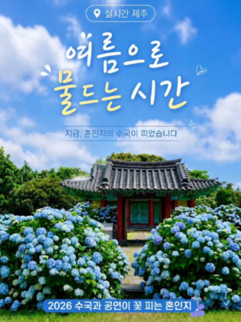 @제주도