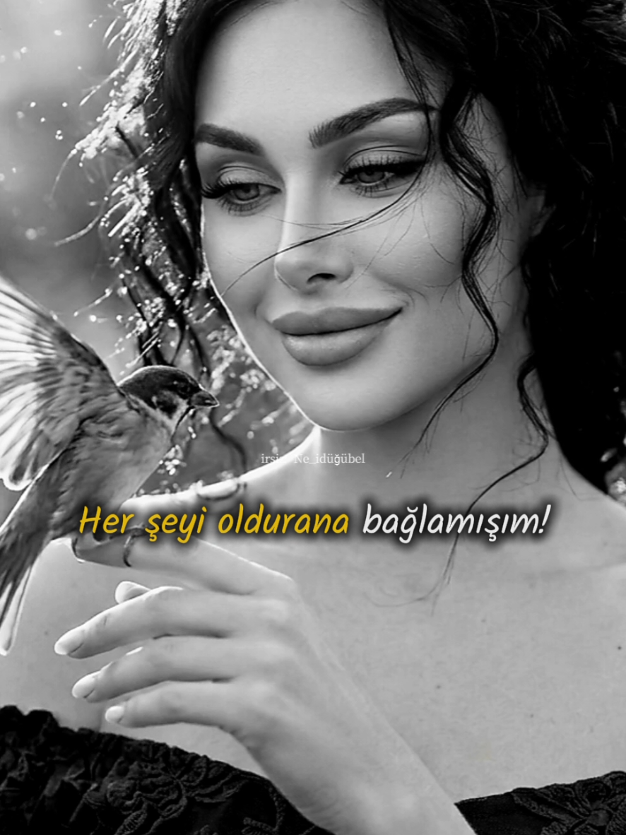 @🔥🖤𝑯𝒂𝒚𝒂𝒕𝒂𝒅𝒂𝒊𝒓🖤🔥