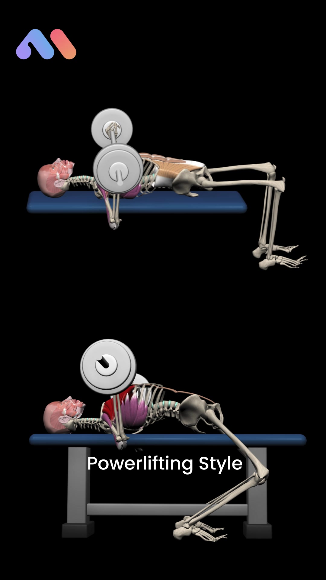 @Muscle & Motion