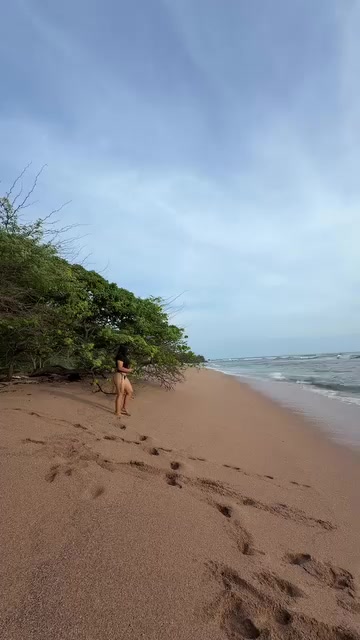 @Aldemar Palomino