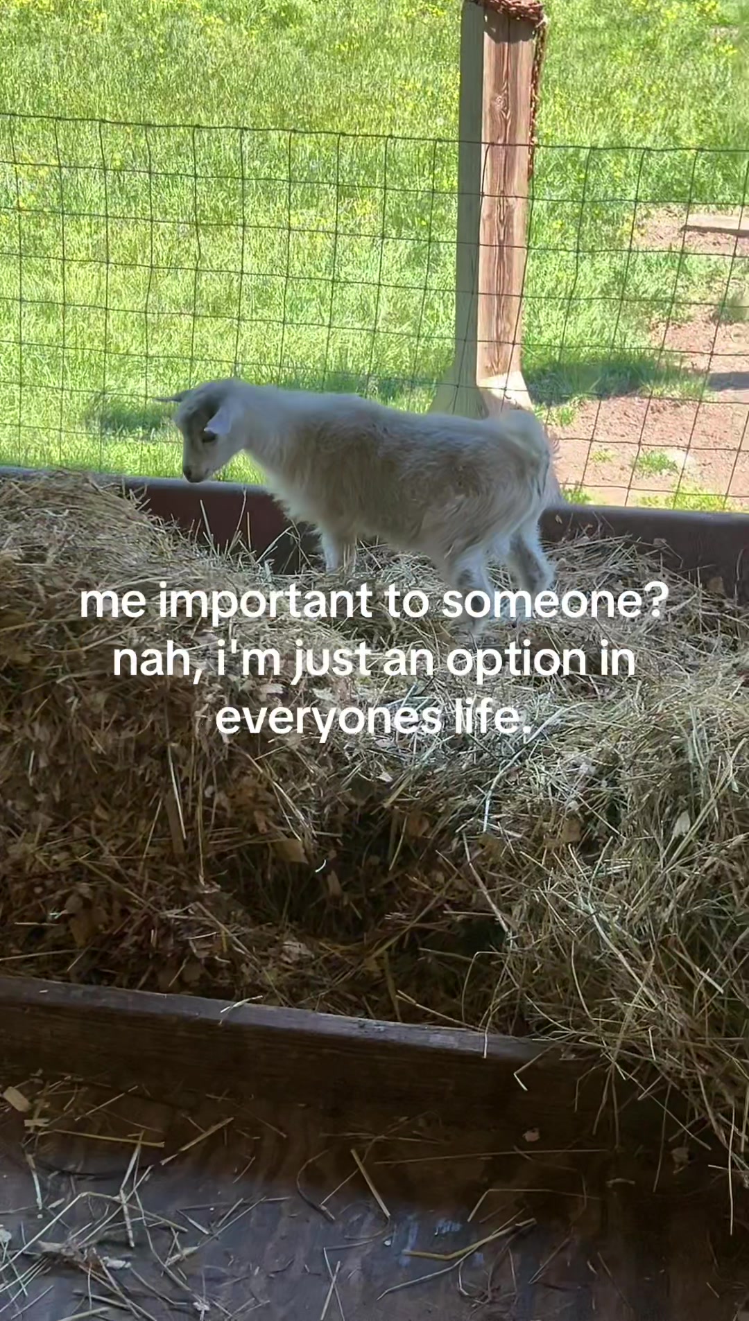 @Noah DeHaven