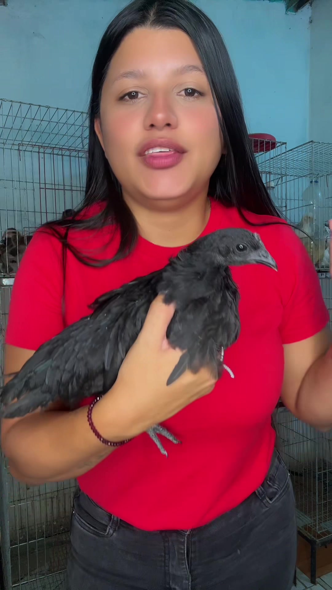@Granjamascotalandiayaracuy