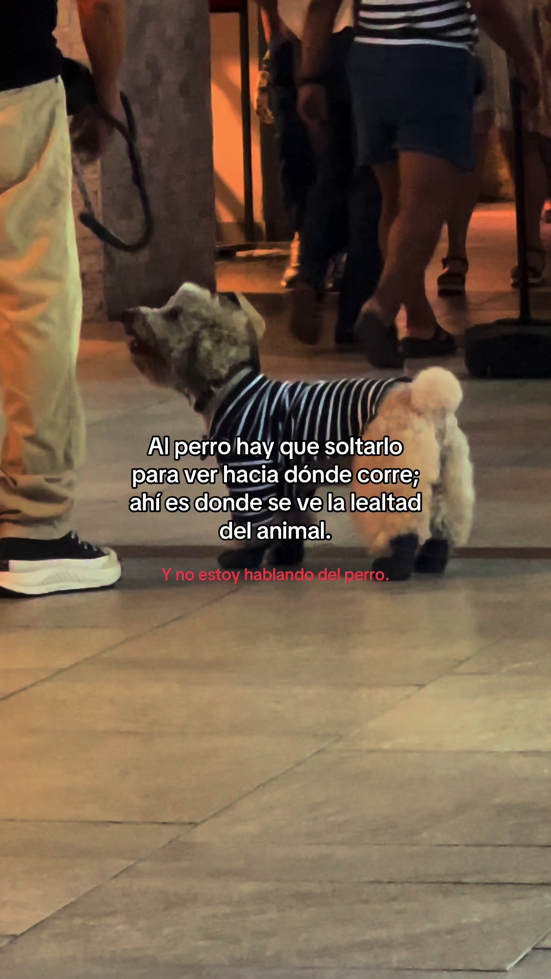 @Betto