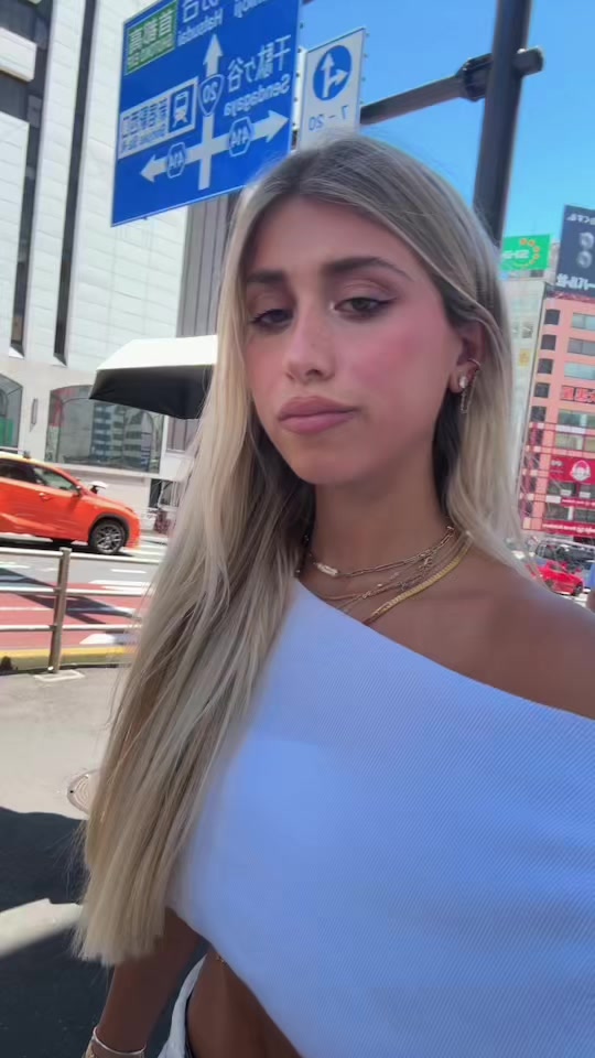 @lironlavi13