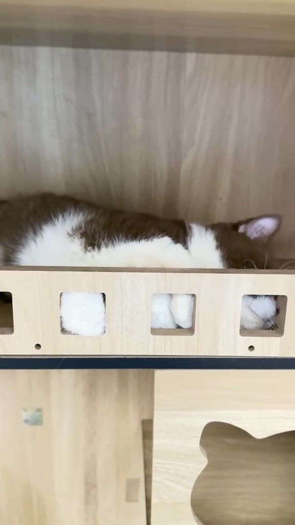 @Luskyocat