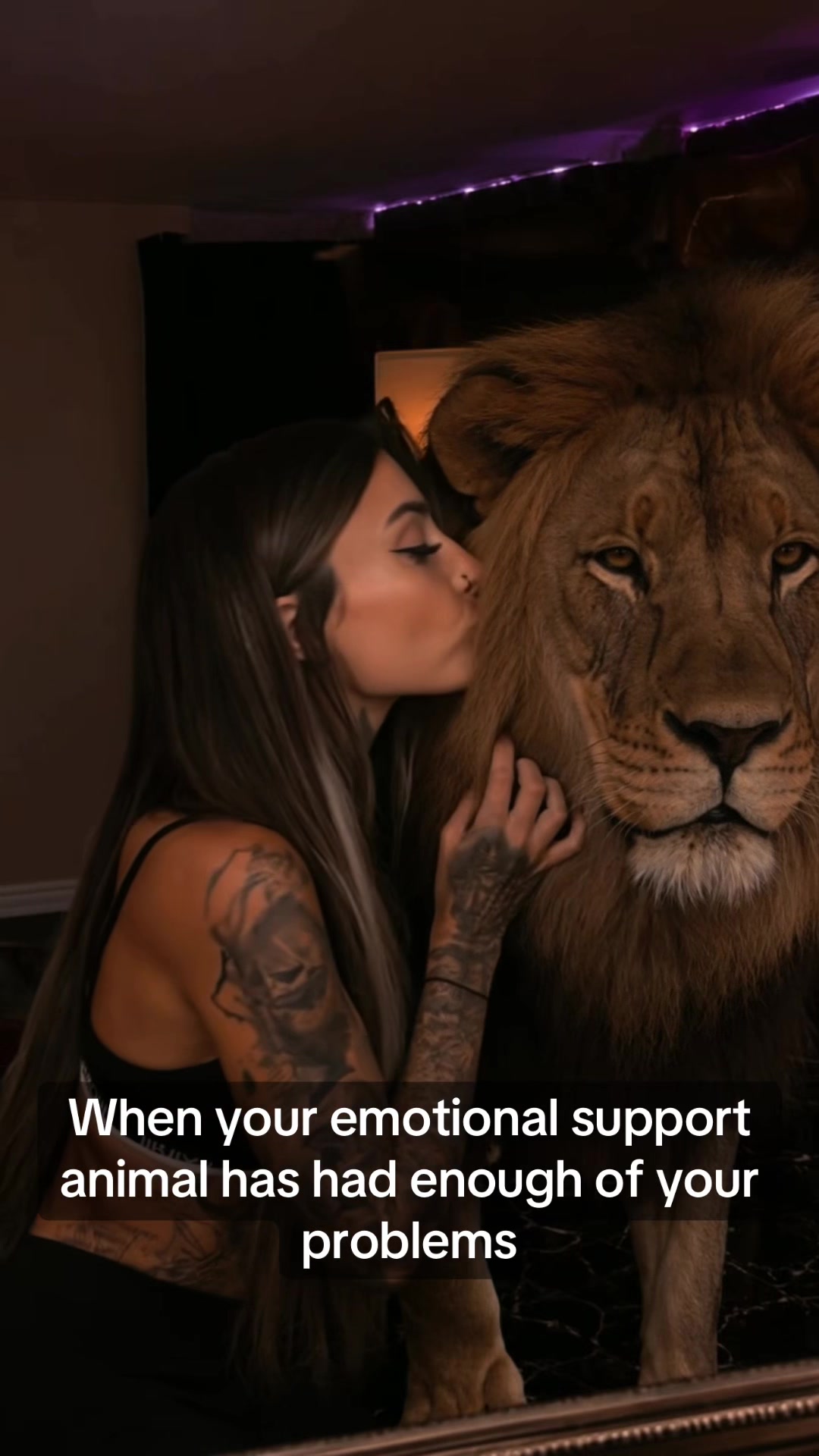 @🦁Hay_jodie🦁