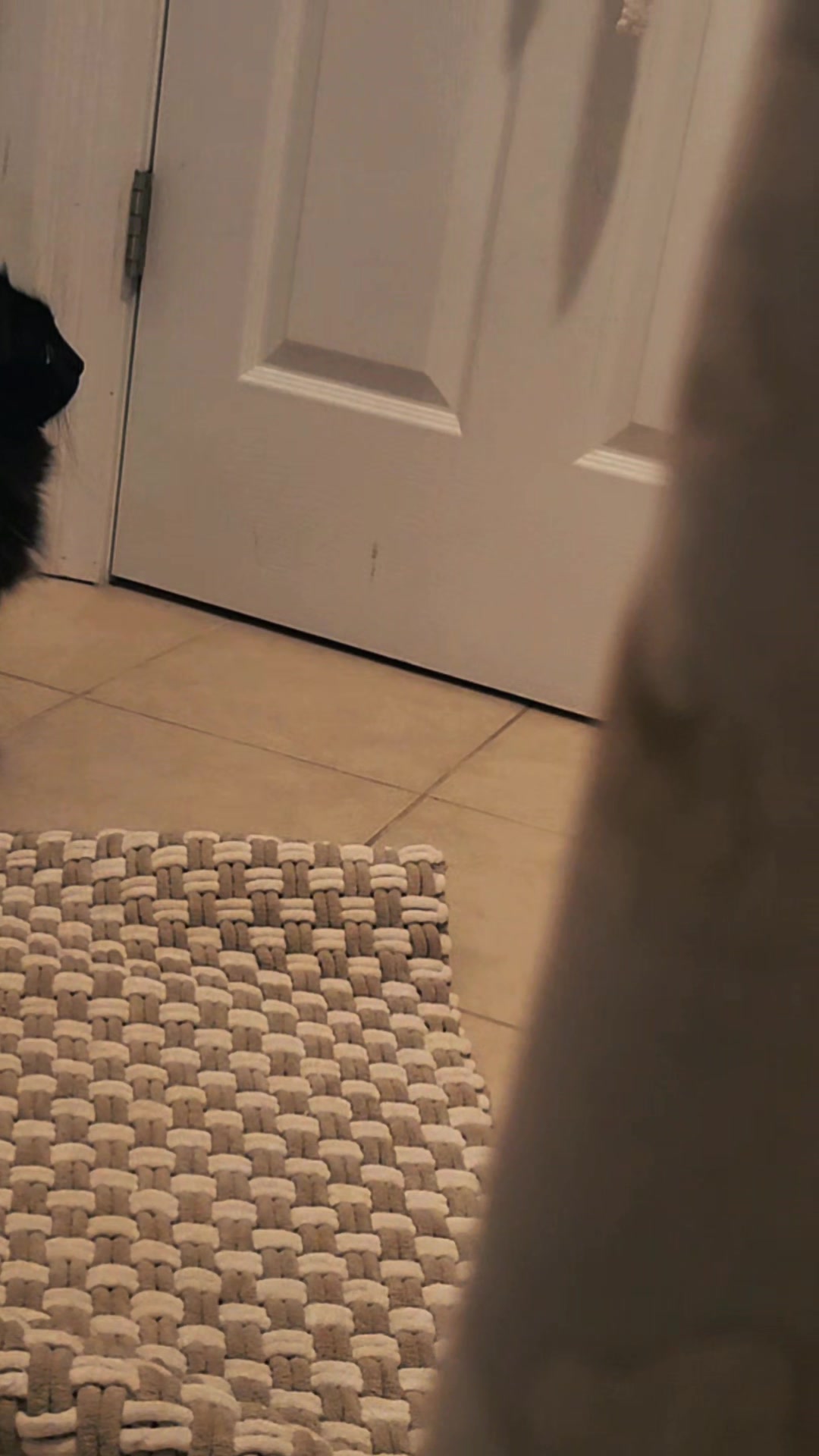 @Krystal Lea & Luna