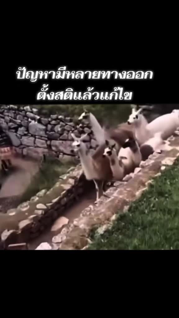 @APCH07