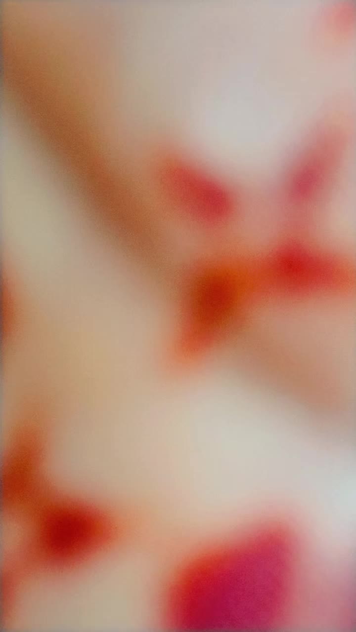 @sarita 123