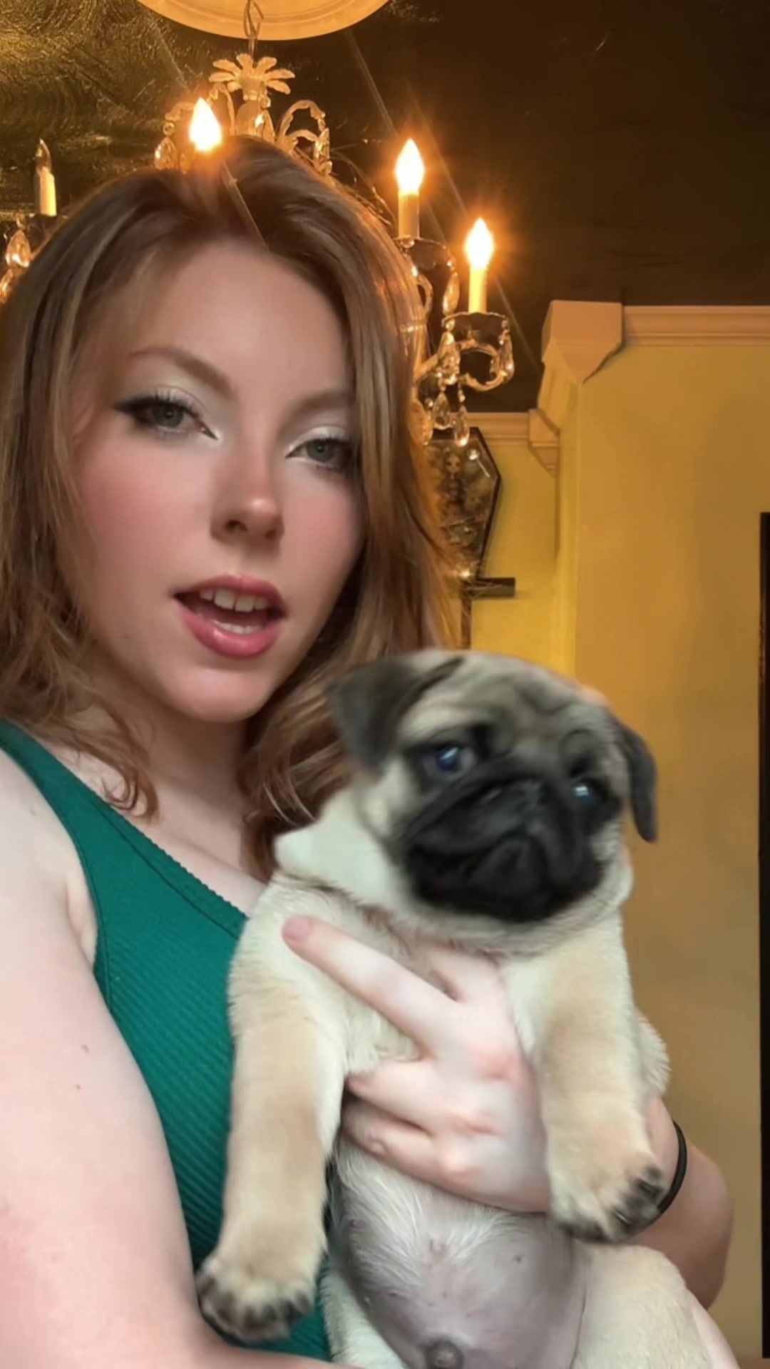 @thewinterpug