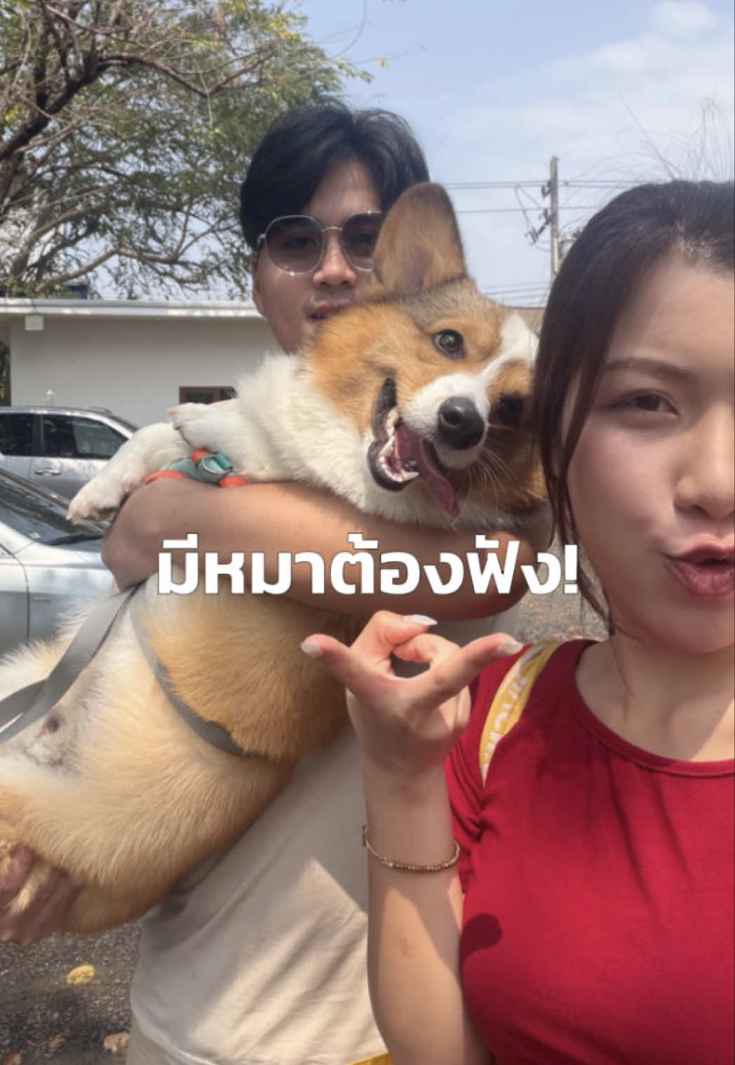 @สปายตอง