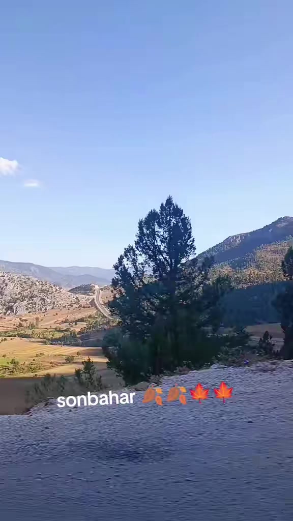 @BOZKURT46