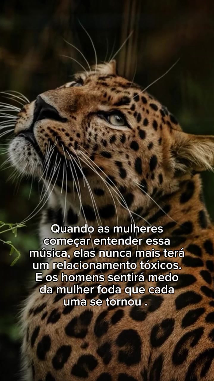 @𝙁𝙚𝙡𝙞𝙣𝙖.𝙈𝙚𝙣𝙩𝙚96🐆❤️