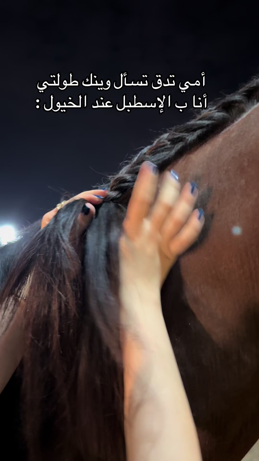 @Top.horses