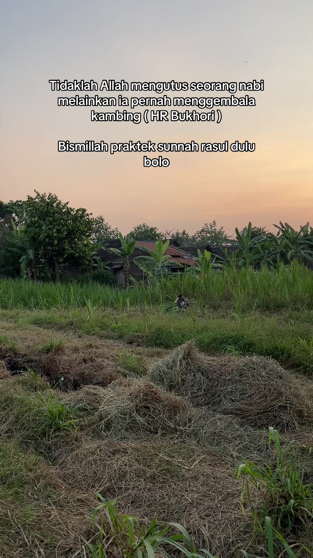 @peternakankambingsolo