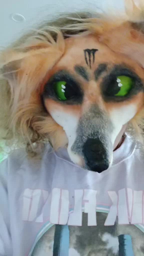 @Bryn 🦊