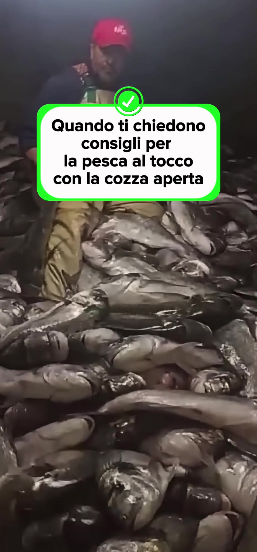 @Luca Meola