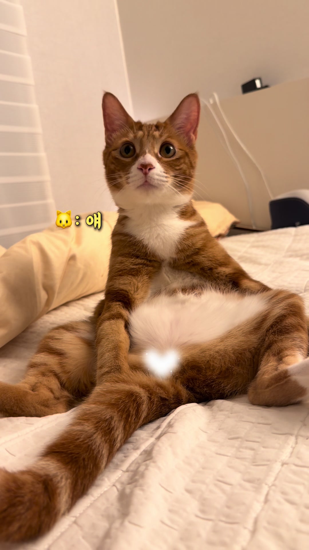 @뮤춘삼