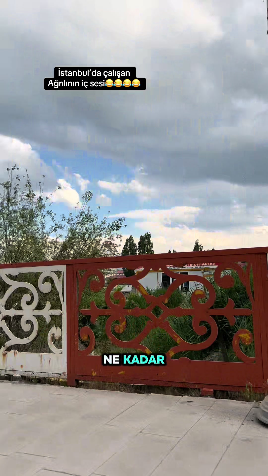 @Sibel Avesta