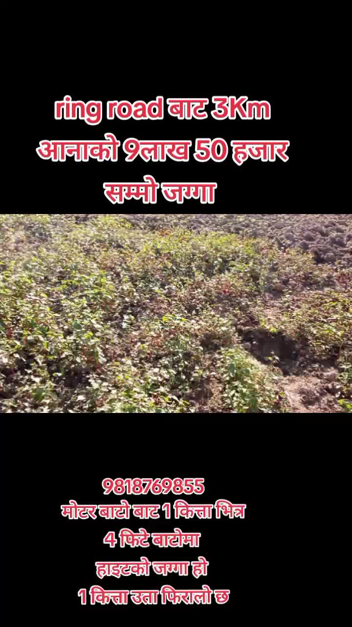 @9818769855
